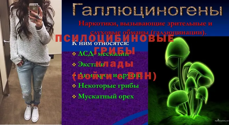 Галлюциногенные грибы Magic Shrooms  Торжок 